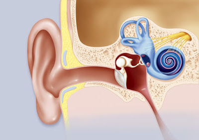 Tinnitus: 7 Natural Fixes To Get Rid Of That Annoying Ringing In The Ear