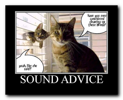 FUNNY ANIMAL CAPTIONS animal pictures with captions. FUNNY ANIMAL CAPTIONS