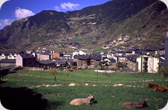 EncampM01