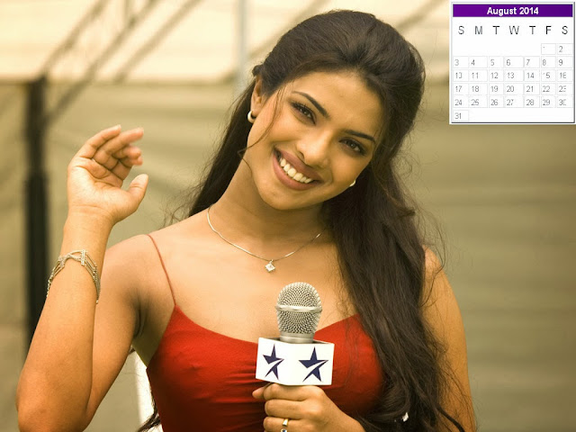 Priyanka Chopra Calendar 2014