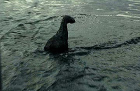 Incident at Loch Ness, Werner Herzog