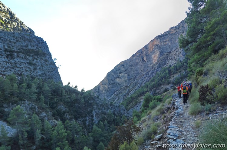 Pinarillo - Navachica - Barranco de los Cazadores