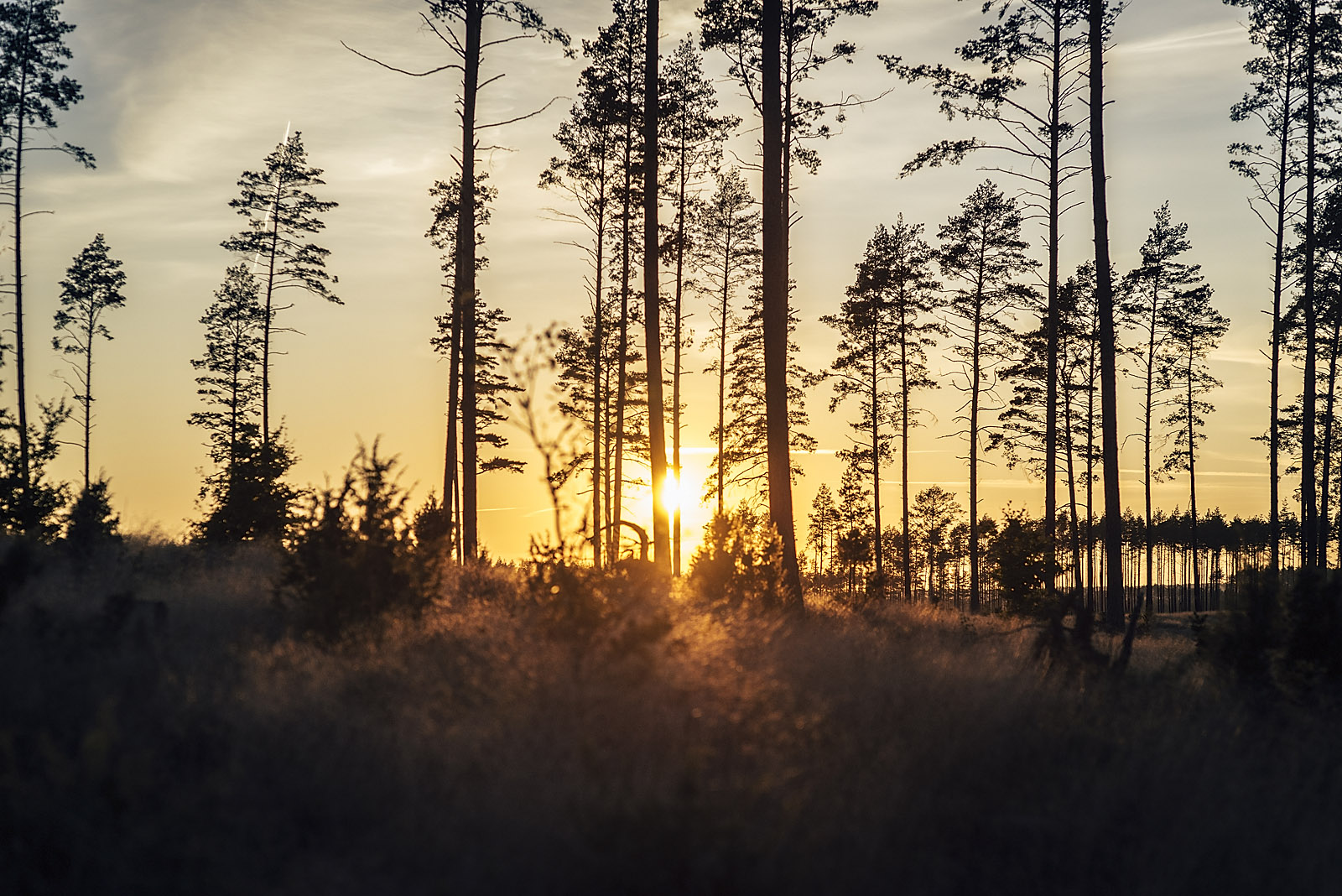 Jezioro, przyroda, natura, Kaszuby, pływanie, AeroKadr.com