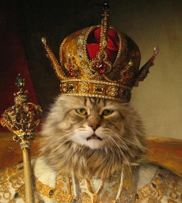 El rey de los gatos