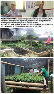 DENR-ARMM earmarks over a hundred thousand seedlings in Lanao del Sur