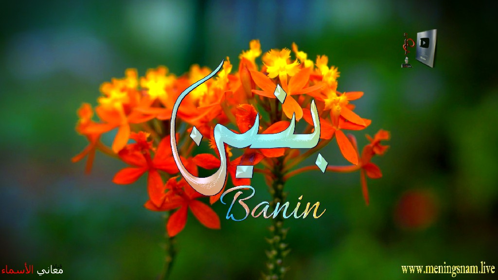 معنى اسم, بنين, وصفات, حامل, هذا الاسم, Banin,