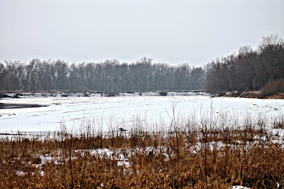 Let Nature Inspire and Center You - Yellow Banks Park Iowa - Easy Life Meal & Party Planning