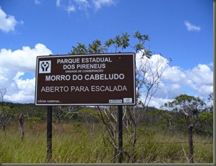free cabeludo