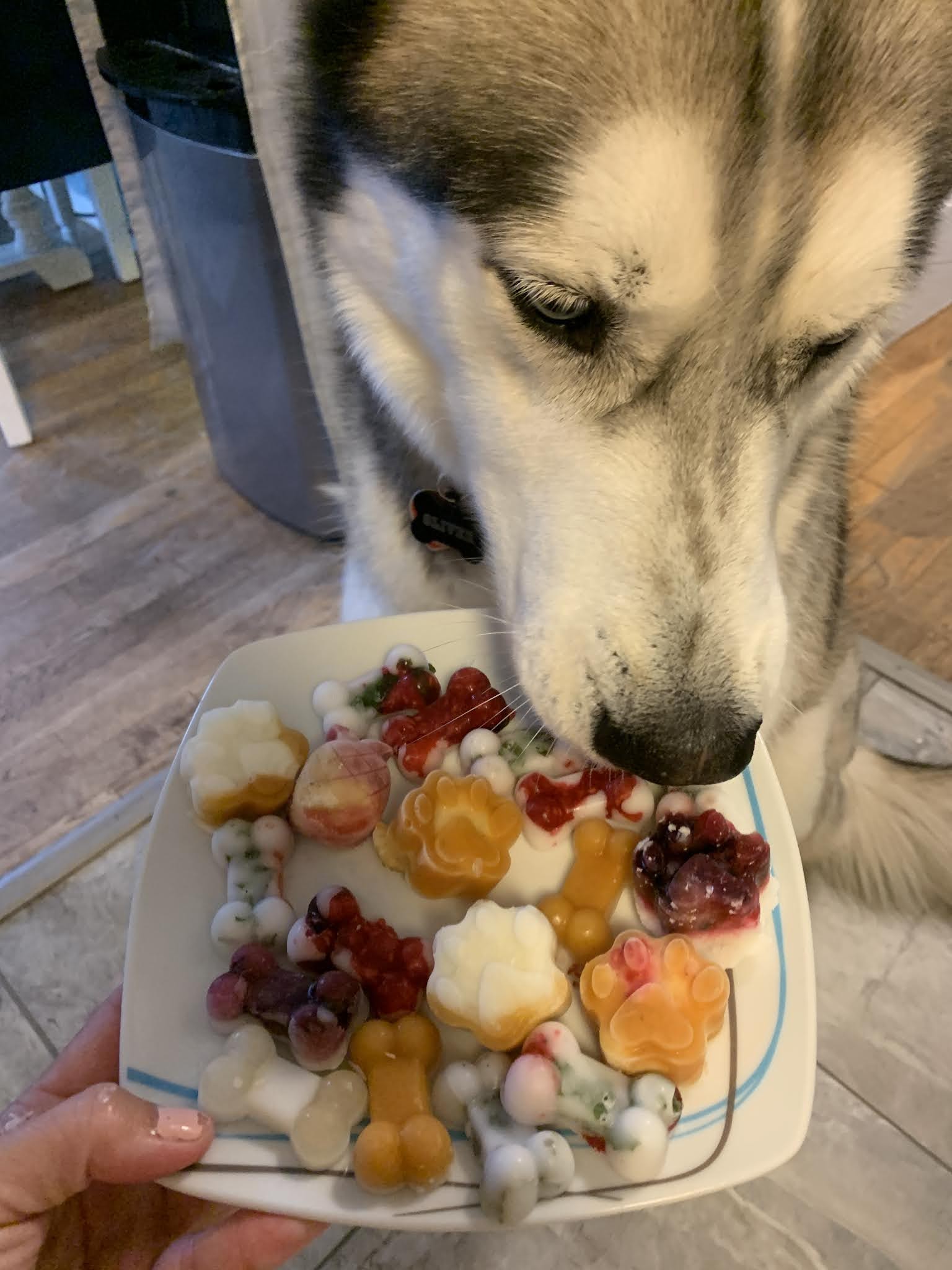 At-Home Dog Treats That You Freeze