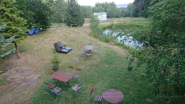 Blick aus m Zimmer auf den Garten