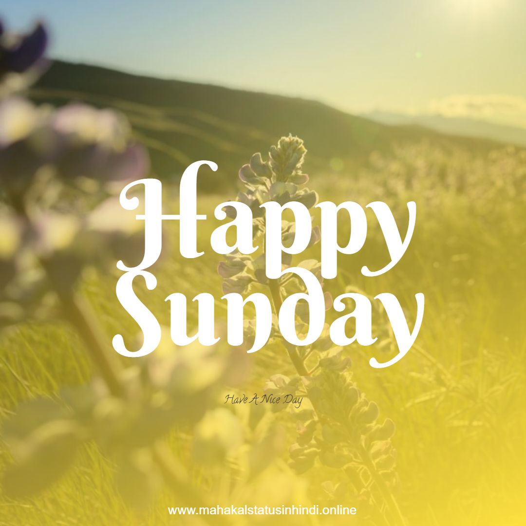 Happy Sunday Flowers  Images