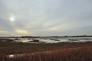 Ouse Washes