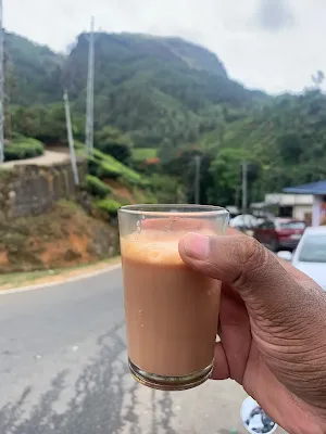 Road Trip to Munnar