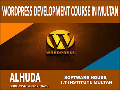 WordPress Development Course in Multan