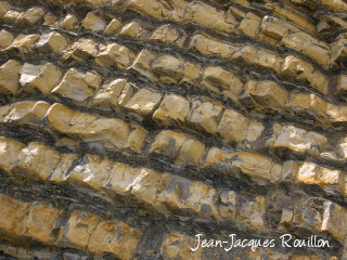 Sedimentary rocks of a forest path