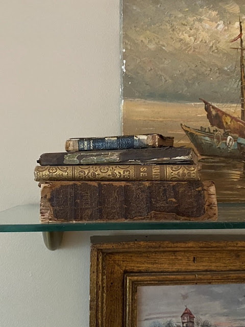 antique books on glass shelves