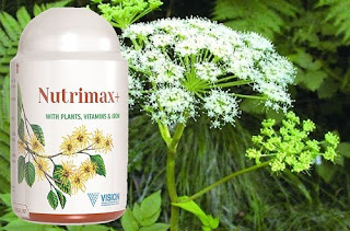 Thực phẩm chức năng Nutrimax+ Vision chống viêm nhiễm cực tốt