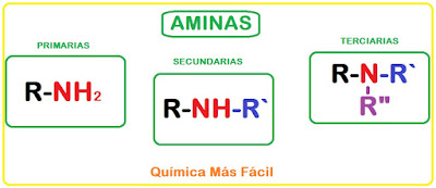 Esquema general de aminas primarias, secundarias y terciarias. Se observa la estructura química