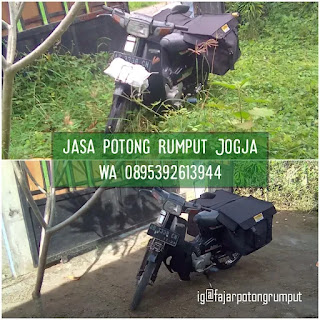 Jasa potong rumput