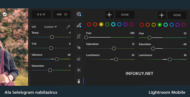 COLOR & MIX - Tutorial Lightroom Ala Selebgram