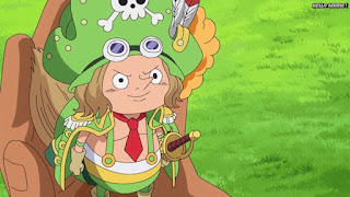 One Piece トンタッタ海賊団メンバー一覧 Tontatta Pirates