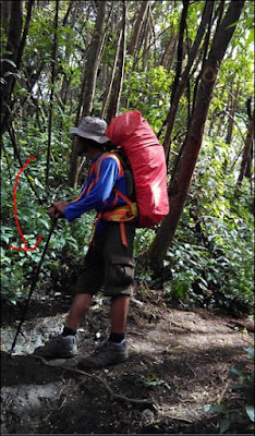 alat panjat tebing, artikel panjat tebing, atlet panjat tebing, belajar panjat tebing, berita panjat tebing, cara latihan panjat tebing, cara panjat tebing, cara panjat tebing yang benar, cara panjat tebing yg benar, definisi panjat tebing, ekspedisi panjat tebing, gambar panjat tebing, gambar panjat tebing hitam putih, gambar panjat tebing wanita, gambar peralatan panjat tebing, ilmu panjat tebing, induk organisasi panjat tebing, info lomba panjat tebing, istilah lain panjat tebing, istilah olahraga panjat tebing, jenis panjat tebing, komunitas panjat tebing, nama lain panjat tebing, olahraga panjat tebing, olahraga panjat tebing adalah, organisasi panjat tebing, organisasi panjat tebing indonesia, organisasi panjat tebing internasional, panjat tebing, panjat tebing adalah, panjat tebing alam, panjat tebing anak, panjat tebing anak2, panjat tebing asia, panjat tebing bali, panjat tebing federasi, panjat tebing indonesia, panjat tebing jatim, panjat tebing jawa timur, panjat tebing pemula, panjat tebing speed, runner panjat tebing, sejarah panjat tebing, sejarah panjat tebing indonesia, sepatu panjat tebing, sepatu panjat tebing lokal, tali panjat tebing, tali temali panjat tebing, tali untuk panjat tebing, teknik dasar panjat tebing, teknik panjat tebing, teknik panjat tebing pemula, teknik tali temali panjat tebing, wall panjat tebing, webbing panjat tebing, wisata panjat tebing, asli magetan, event magetan, jaket kulit magetan, kab magetan, kabupaten magetan, komunitas anak magetan, komunitas di magetan, komunitas magetan, komunitas magetan indah, komunitas magetan indonesia, komunitas magetan jatim, komunitas magetan jawa timur, lintas magetan, magetan, magetan banget