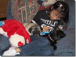 winter 2010 038