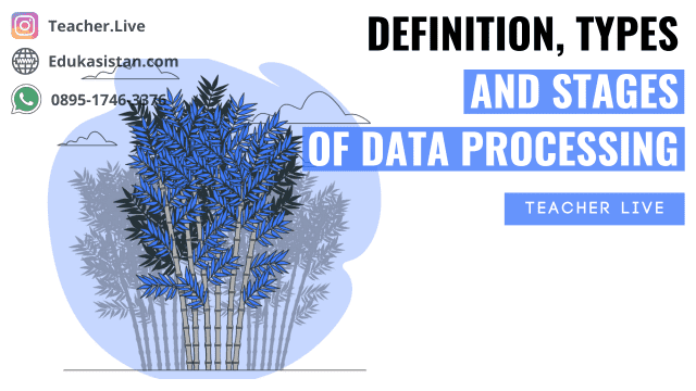 Definition, Types, and Stages of Data Processing