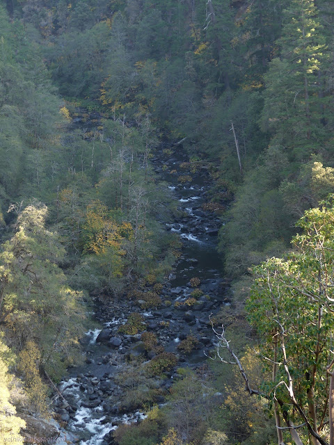 bits of color beside and in Wooley Creek