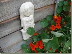 house and garden 017 (800x600)