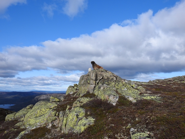 sørbølfjellet