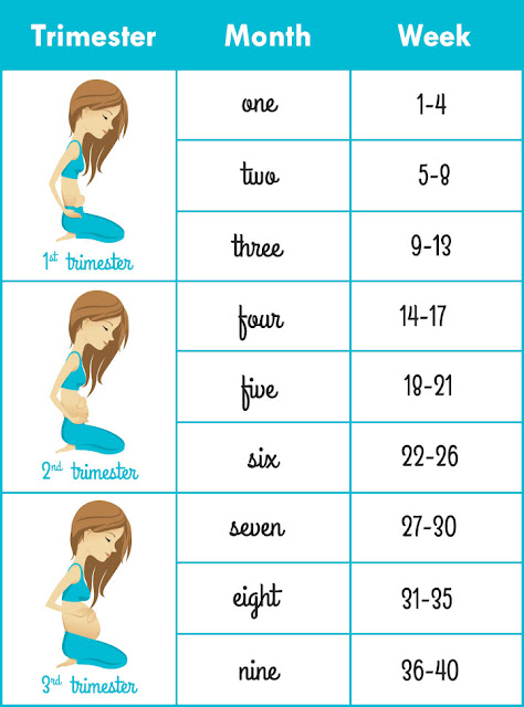 Pregnancy Calculator, Pregnancy Calculator Conception, Pregnancy Test Calculator,