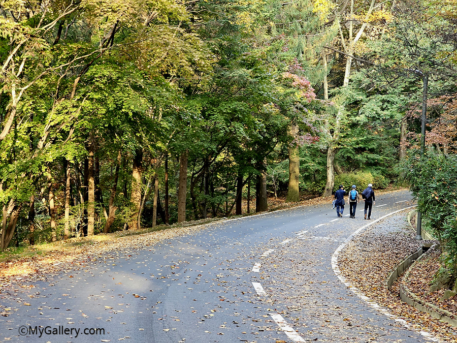 Autumn-in-Seoul-Grand-Park