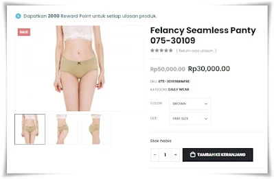Felancy Seamless Panty (075-30109)