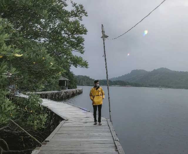 fasilitas di wisata hutan mangrove petengoran