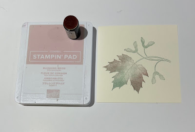 Soft_Seedlings_Fall_Stampin_Up_Double_Fold