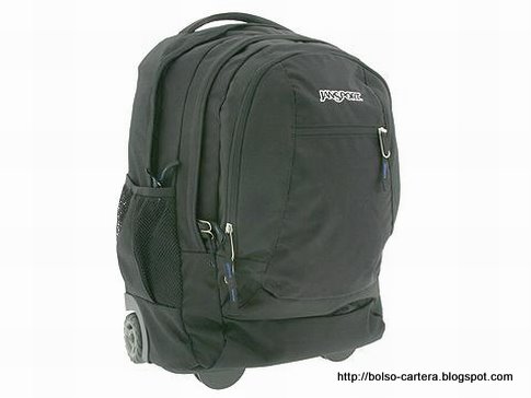 Bolso cartera:cartera-06628909