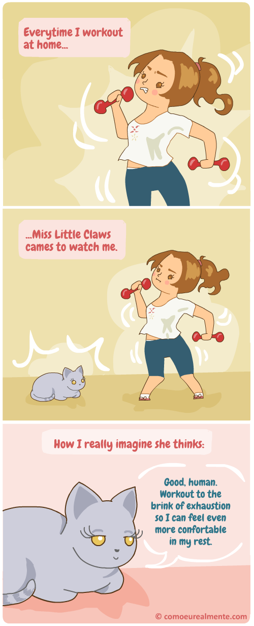 How I really imagine my cat feels when I work out: very pleased with herself for not having to do anything but sleep.