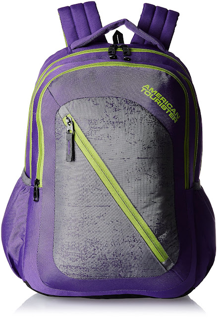 American Tourister Casper Purple Casual Backpack 