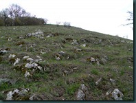 DSCN9331