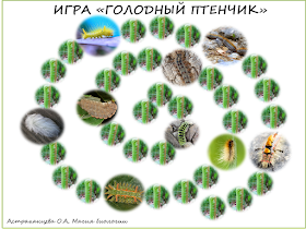 volosatye-gusenicy-shelkoprjad-jadovitye-gusenicy-igra-golodnyj-ptenchik