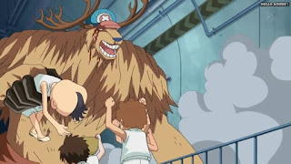 ワンピースアニメ パンクハザード編 608話 チョッパー | ONE PIECE Episode 608