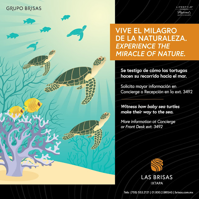  Promociones Las Brisas Ixtapa