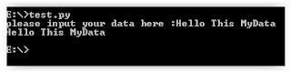 python raw_input example