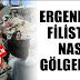 Ergenekon, Filistin'i nasıl gölgeledi?