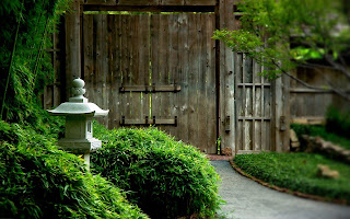 Japanese Back Yard