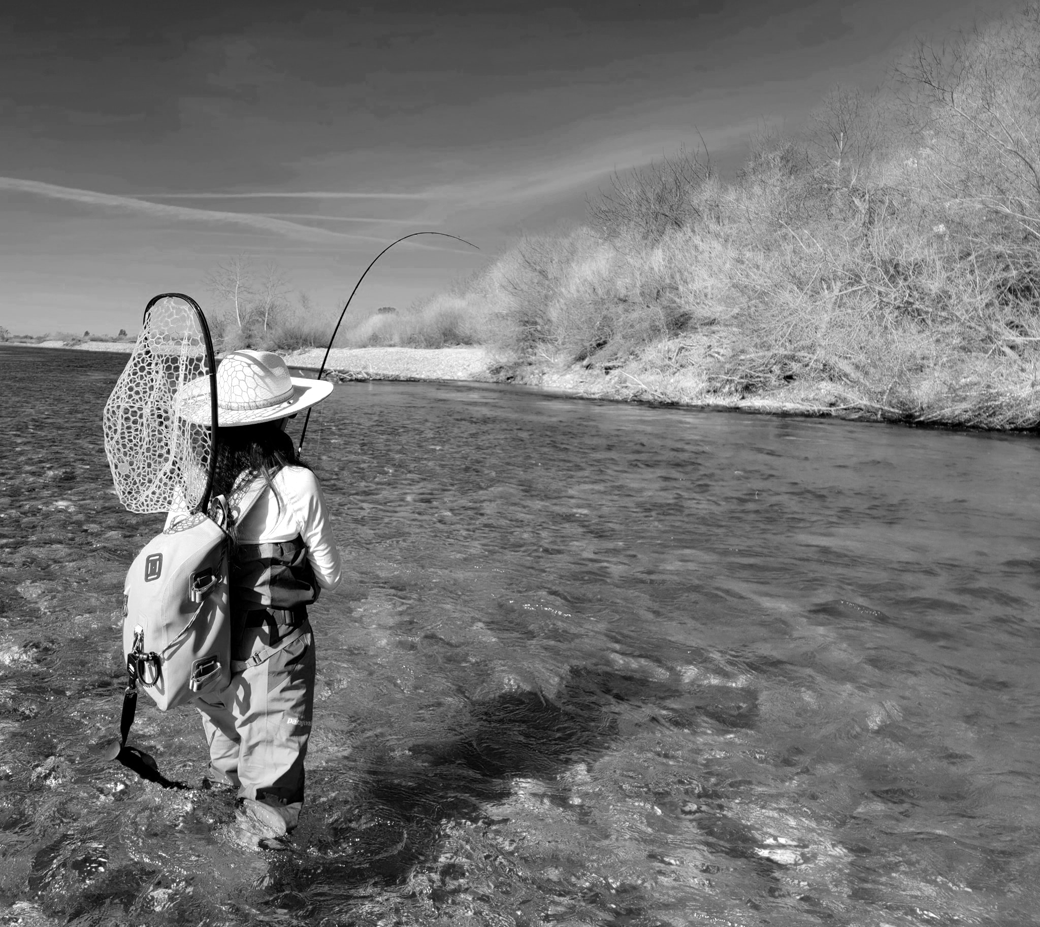 Jon Baiocchi Fly Fishing News: Lower Yuba River Fly Fishing Report