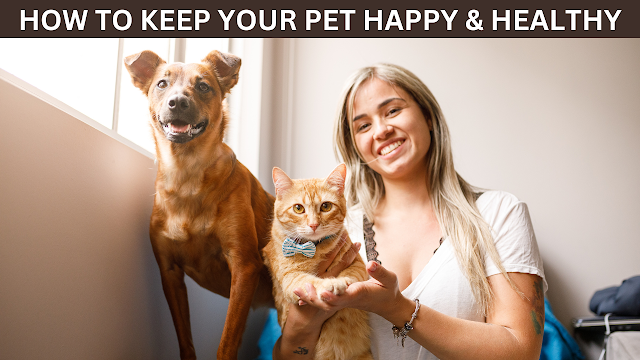 how to keep your pet happy and healthy