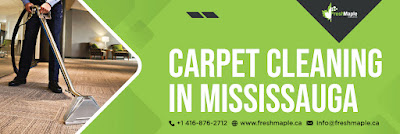 Carpet%20Cleaning%20in%20Mississauga%201.jpg