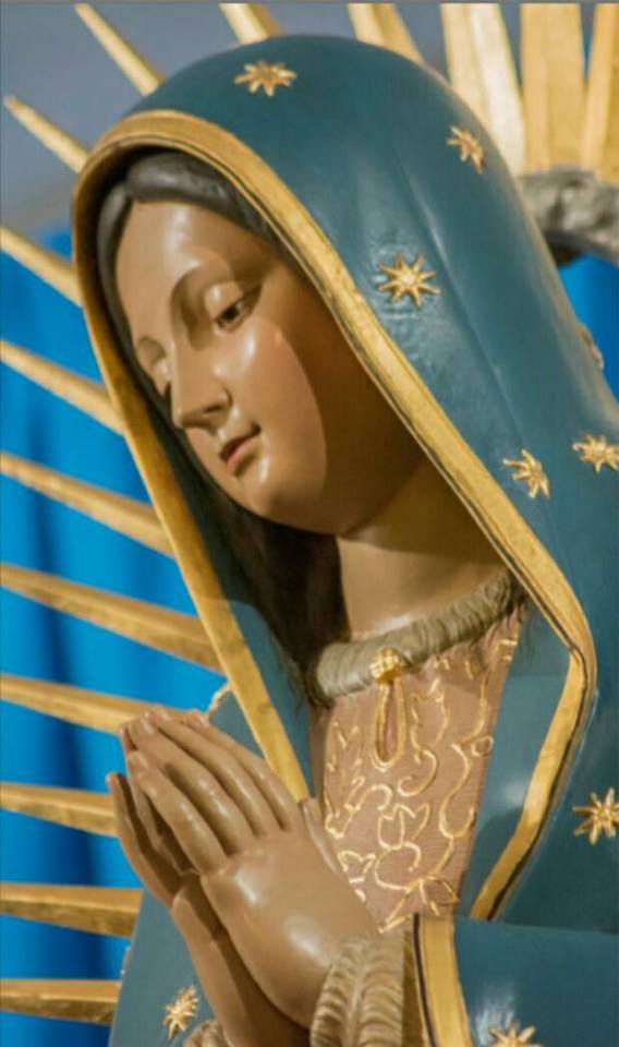 Resultado de imagen de hermandad sacramental ntra. sra. de guadalupe